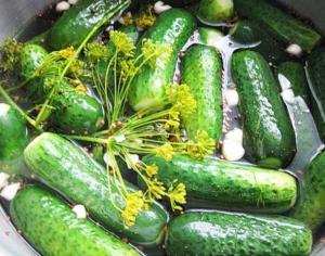 Леко осолени хрупкави краставици - най-лесната и бърза рецепта за леко осолени краставици