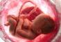 Ginipral under graviditet: bruksanvisning, biverkningar, analoger